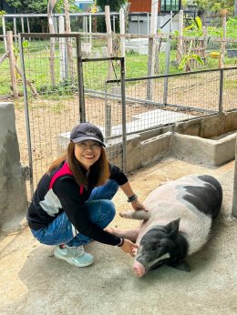 ฺBaanrabiengkao Farm animals