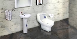 6 causes of clogged toilets?