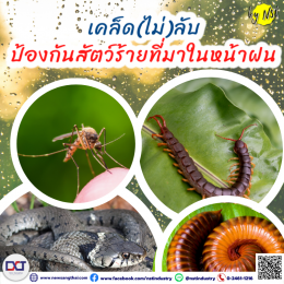 Prevent the venomous animals in rainy season