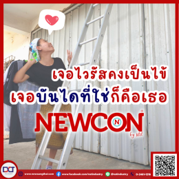 เจอไวรัสคงเป็นไข้ เจอบันไดที่ใช่ก็คือเธอ NEWCON