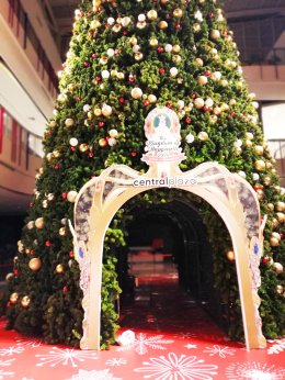 สติ๊กเกอร์ติดกระจก - Backdrop
