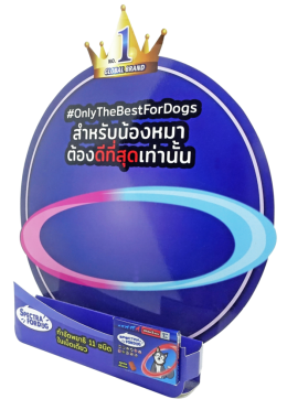 เต้นท์การ์ด