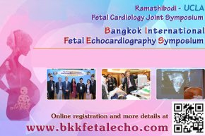 The 2nd Ramathibodi – UCLA Health Fetal Cardiology Joint Symposium, The 8th Bangkok International Fetal Echocardiography Symposium