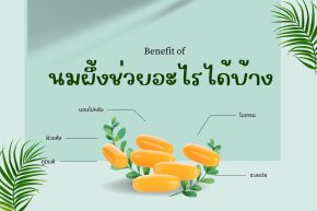 นมผึ้ง