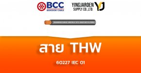 สายไฟ THW Bangkok Cable บางกอก 60227 IEC 01