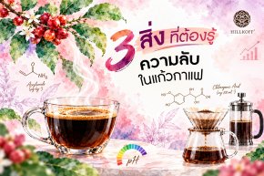 3 เรื่องจริงสุดเซอร์ไพรส์ จากแก้วกาแฟที่ต้องรู้