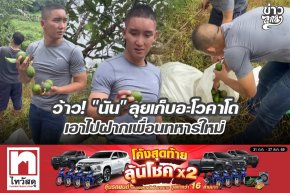 ว้าว! "นัน" ลุยเก็บอะโวคาโดเอาไปฝากเพื่อนทหารใหม่