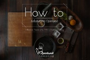 Openland How to