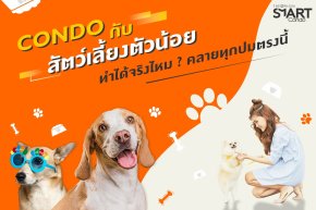 คอนโดมิเนียม กับ “สัตว์เลี้ยง” เป็นไปได้ไหม ?