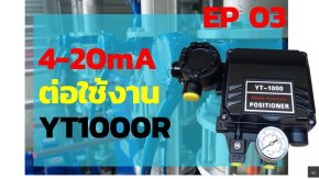 YT1000R