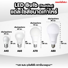 หลอด LED Bulb แต่ละไซส์มีขนาดเท่าไหร่กันบ้าง ?