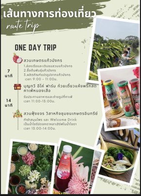 ท่องเที่ยวเชิงเกษตรนำร่องอําเภอหนองเสือ สวนเกษตรแก้วมังกร 