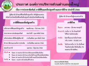 ประชาสัมพันธ์ ภาษีที่ดินและสิ่งปลูกสร้างและภาษีป้าย ประจำปี 2566