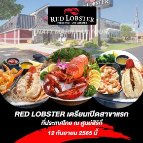 Red Lobster Thailand