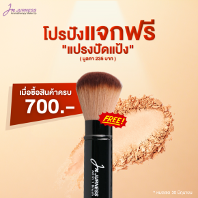 โปรโมชั่นแจกฟรี ! แปรงปัดแป้ง