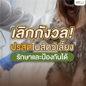 ปรสิตในสัตว์เลี้ยง