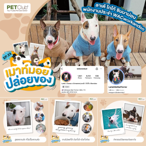 PETClub