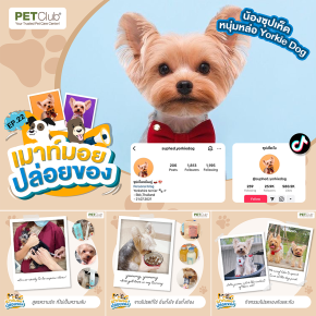PETClub