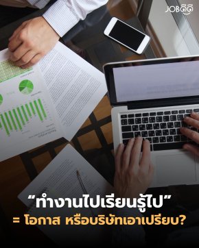 ทำงานไปเรียนรู้ไป = โอกาส หรือบริษัทเอาเปรียบ?