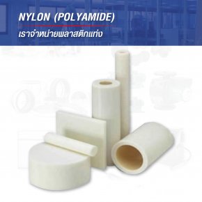  ENGINEERING PLASTICS -  Nylon
