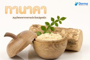 ทานาคา (Thanaka) สมุนไพรหลากหลายประโยชน์ดูแลผิว