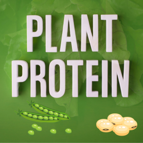 ประโยชน์ของโปรตีนพืช Plant Protein  มีประโยชน์อะไรบ้าง