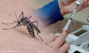 วัคซีนป้องกันโรคไข้เลือดออก (Dengue Vaccine)