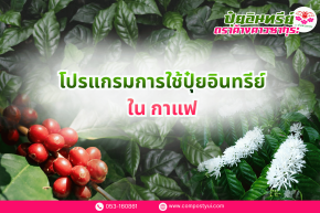 การใช้ปุ๋ยอินทรีย์ ใน กาแฟ เพื่อเพิ่มคุณภาพผลผลิต