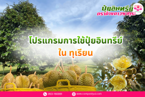 การใช้ปุ๋ยอินทรีย์ ใน ทุเรียน เพื่อเพิ่มคุณภาพผลผลิต