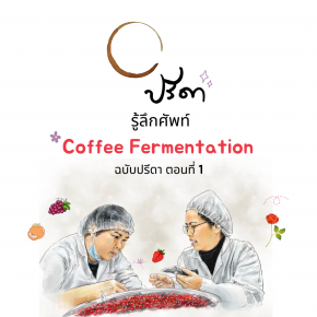 Coffee Fermentation