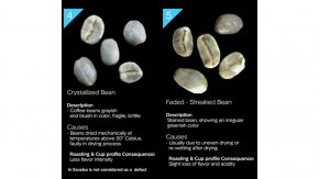 Rancidity & Crystallized in Green Bean (2)
