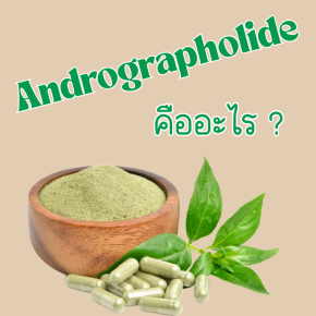 Andrographolide ?