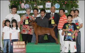 Top Best Local Bred in Show 2009