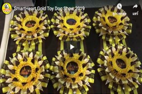 SmartHeart Gold Toy Dog Show 2019