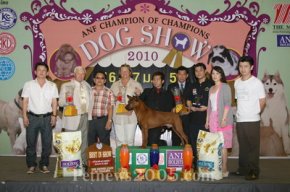 ANF Champion of Champions Dog Show 2010