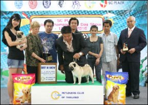 Sc Plaza Thailand Championship Dog Show 12-13 June 2010
