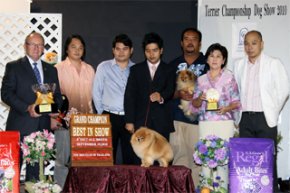 TERRIER CHAMPIONSHIP DOGSHOW 2010