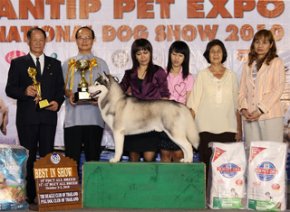 PANTIP PET EXPO & NATIONAL DOG SHOW 2010