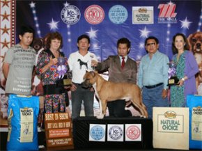 CHAMPION OF CHAMPIONS DOG SHOW 2011