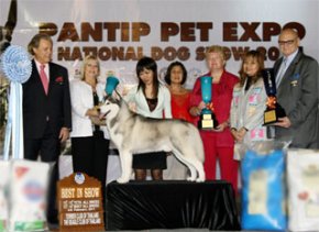 PANTIP PET EXPO & NATIONAL DOG SHOW 2011