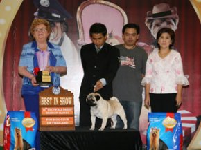 THE MALL TOY DOG CHAMPIONSHIPSHOW 2/2011
