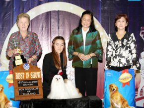 The Mall Toy Dog Championship Show 2/2011