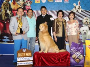 Toy Dog Club Championship Dog Show 5/2011