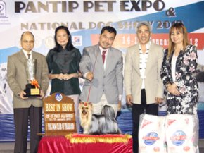 PANTIP PET EXPO & NATIONAL DOG SHOW 2012(AB1)