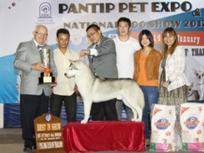 PANTIP PET EXPO & NATIONAL DOG SHOW 2012(AB3)