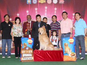 THE MALL TOY DOG CHAMPIONSHIP SHOW 1/2012(AB1)