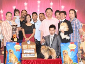 THE MALL TOY DOG CHAMPIONSHIP SHOW 1/2012(AB2)