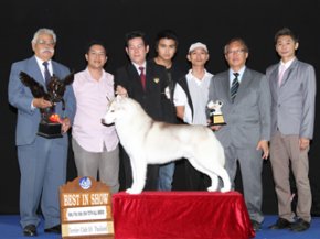 Terrier Club Of Thailand Championship Dog Show(AB2)