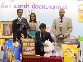 Thailand International Dog Show 2012(AB1)