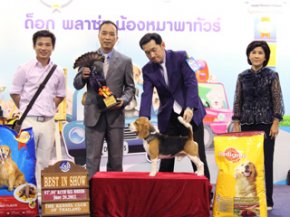 Thailand International Dog Show 2012(AB2)